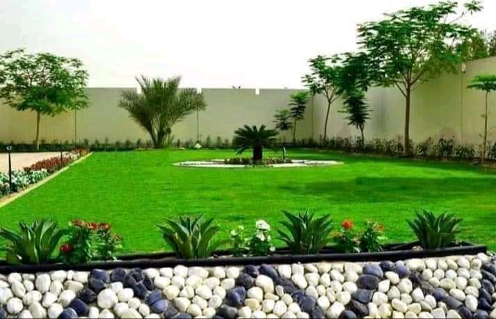 A vibrant lawn and garden brimming with colorful flowers and lush greenery, demonstrating our ability to create beautiful outdoor spaces