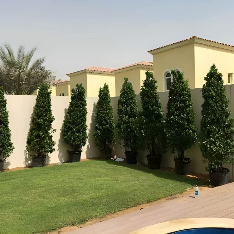 Ensure stability and add visual interest to your landscape with well-crafted retaining walls made from natural stone. https://ideallandscapers.com/