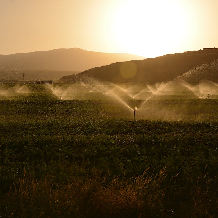 get our landscaping services https://ideallandscapers.com/